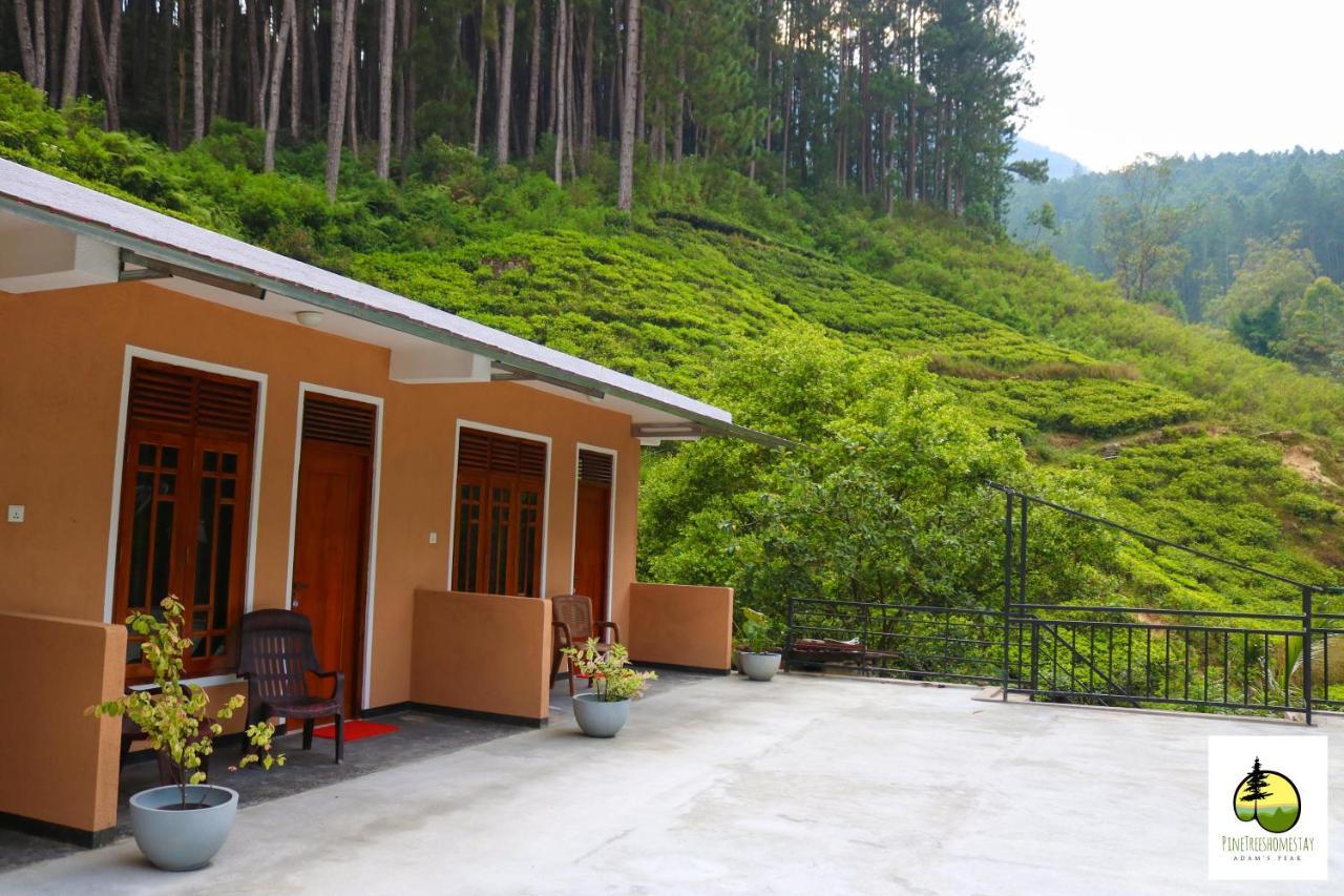 Pine Trees Homestay Nallathanniya Εξωτερικό φωτογραφία