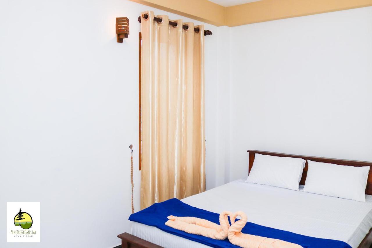 Pine Trees Homestay Nallathanniya Εξωτερικό φωτογραφία